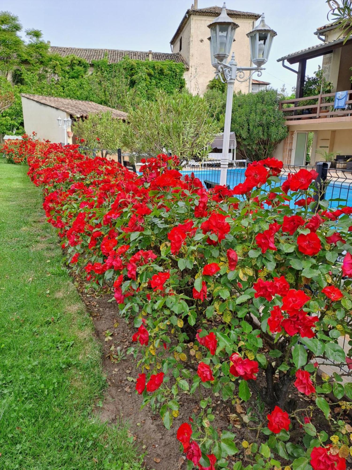 Gite 5 "Le Laurus" Aux Magnolias Обена Екстериор снимка
